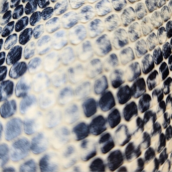 Anthro Coconuts By Matisse Pronto Snakeskin Ankle Boots D'Orsay Cream Black 6.5 - Picture 14 of 15